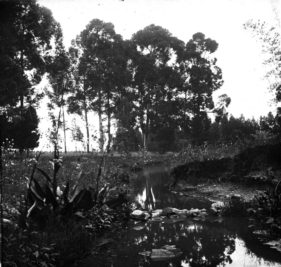 C32f314. Vista de un arroyo
