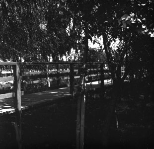 C33f323. Puente de madera