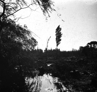 C33f327. Vista de una cañada 2