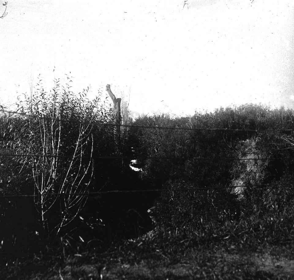 C32f317. Campo alambrado con tres hilos