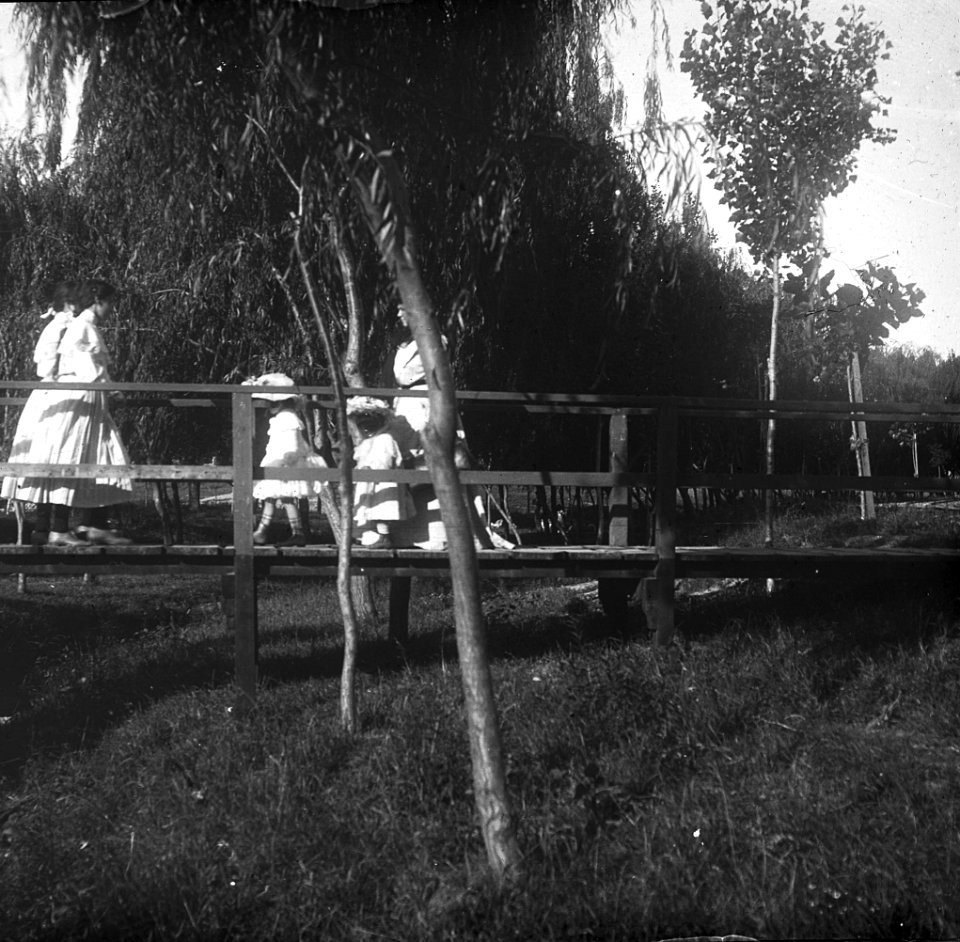 C33f325. Damas y damitas sobre puente de madera