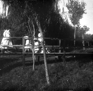 C33f325. Damas y damitas sobre puente de madera