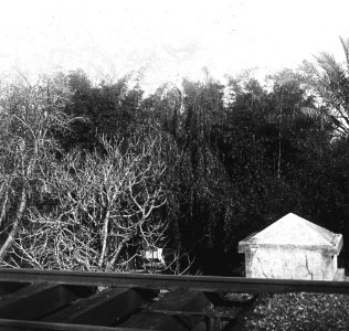 C40f398. Vista de un puente ferroviario