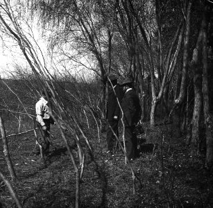 C33f320. Leñadores en un monte