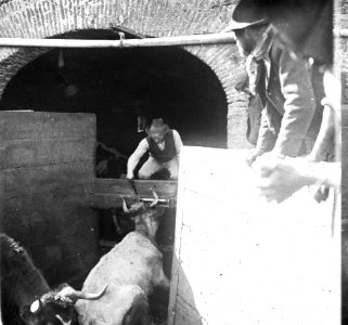 C34F339. Matadero de La Tablada