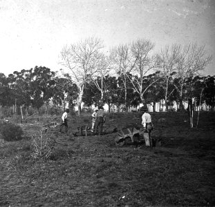 C34f329. Hombres con carretillas en Parque Urbano