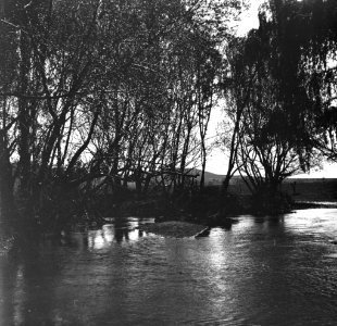 C33f328. Vista de un arroyo