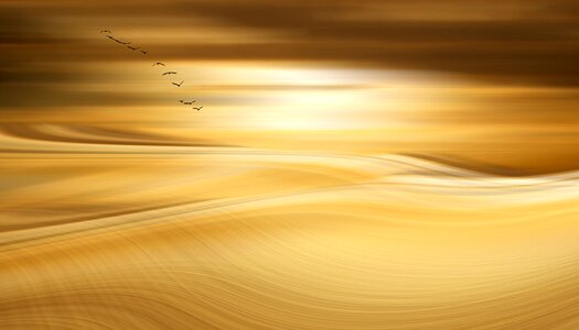 Gold abstract digital art photo