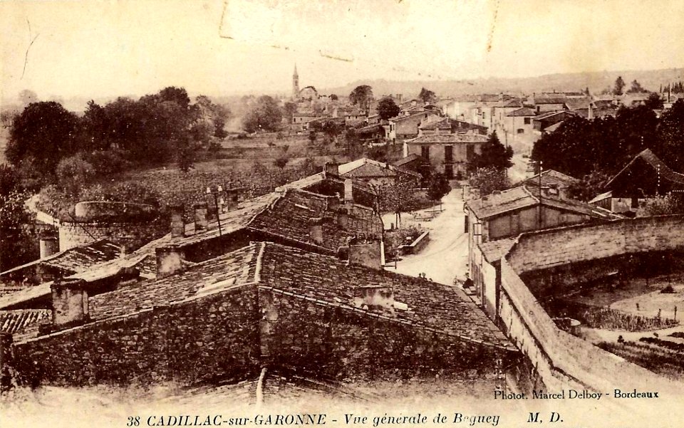 Cadillac-sur-Garonne - vue générale 3
