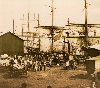 Cafe porto Santos 1880