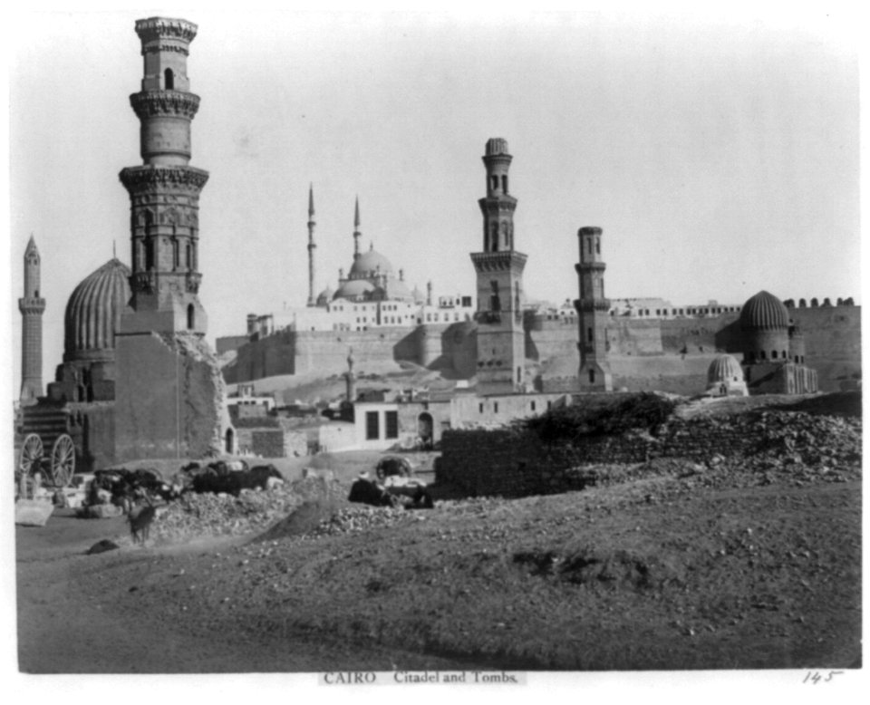 Cairo- Citadel and tombs LCCN2002714608