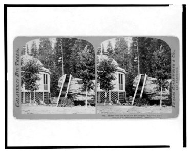 Calaveras big trees. House over the stump of the original big tree, diameter 32 feet, Mammoth Grove, Calaveras County LCCN2003653082