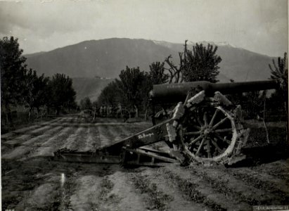 Caldonazzo.Erbeutete italienische Geschütze. (BildID 15641694)