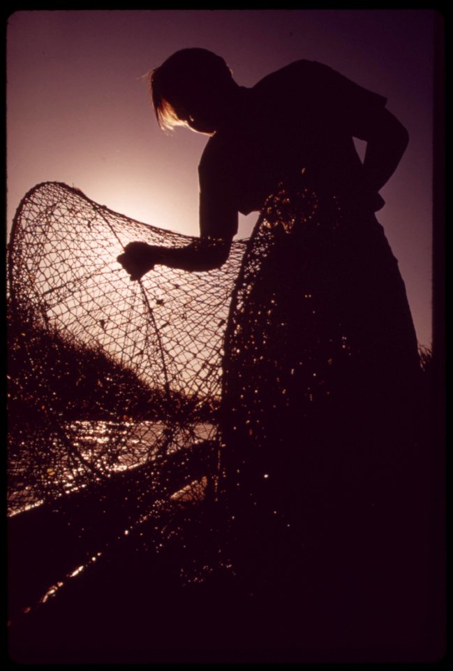 California-fish-and-game-biologist-checks-gill-nets-placed-in-the-colorado-river-nets-will-provide-data-on-the-number-of-fish-in-the-area-may-1972 6990243952 o