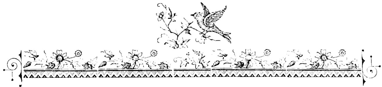 Callicioli - Fontana Nettuniana avanti l'anno 1872 (page 7 crop)