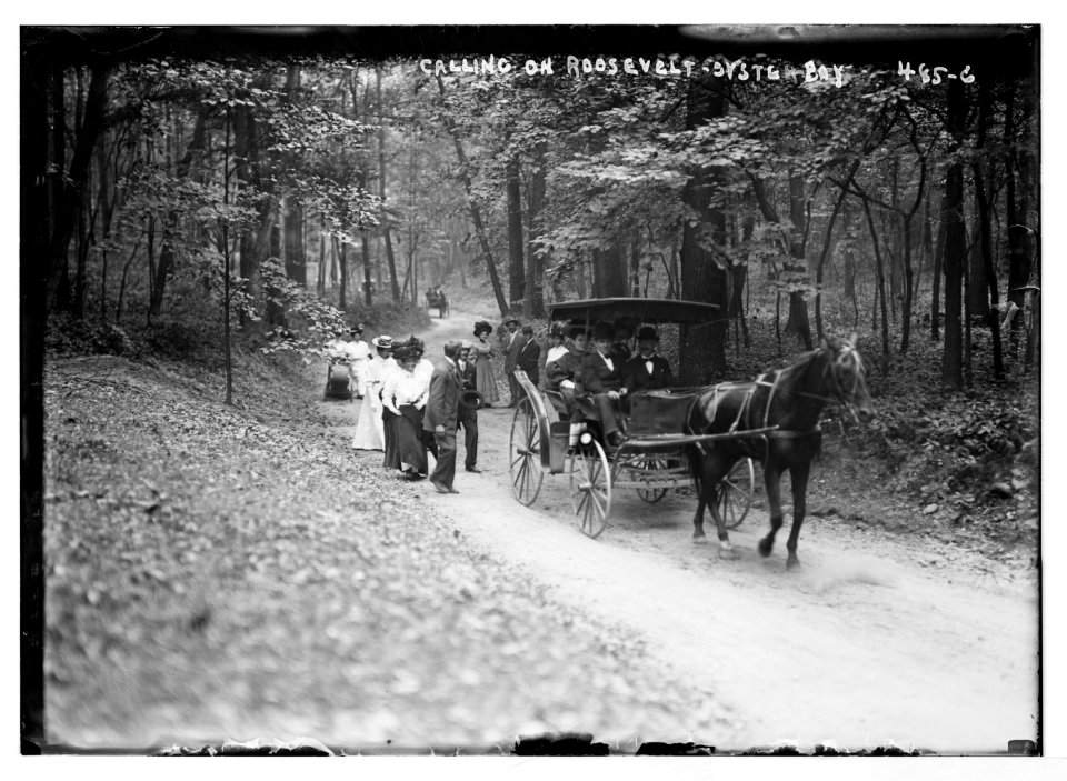 Calling on Roosevelt, Oyster Bay LCCN2014682302