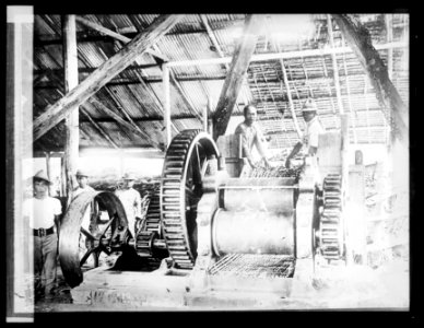 Calomba Sugar Mill, Luzon, Philippines. 1200 tons cane, daily LCCN2016824453