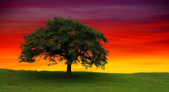 Landscape panoramic sky