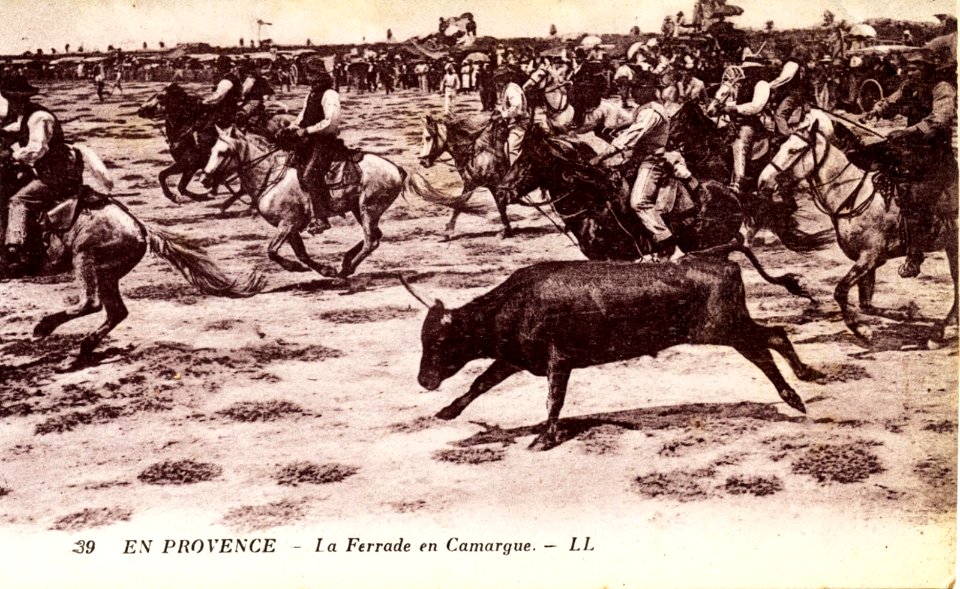 Camargue ferrade LL