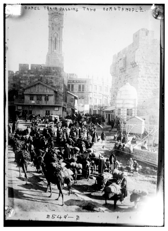 Camel train in Jerusalem near Jaffa Gate LCCN2014692034