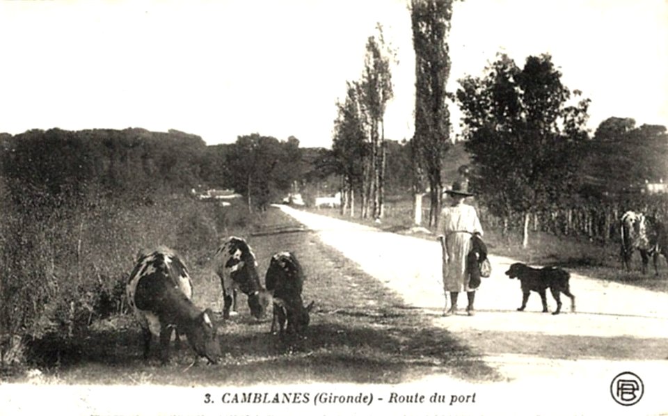Camblanes-et-Meynac - route du port