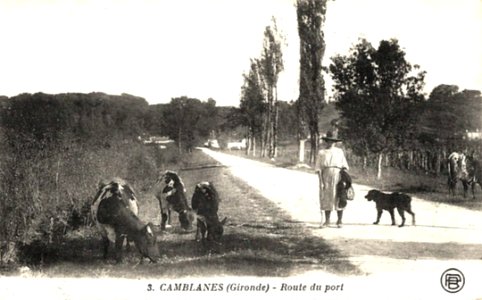 Camblanes-et-Meynac - route du port