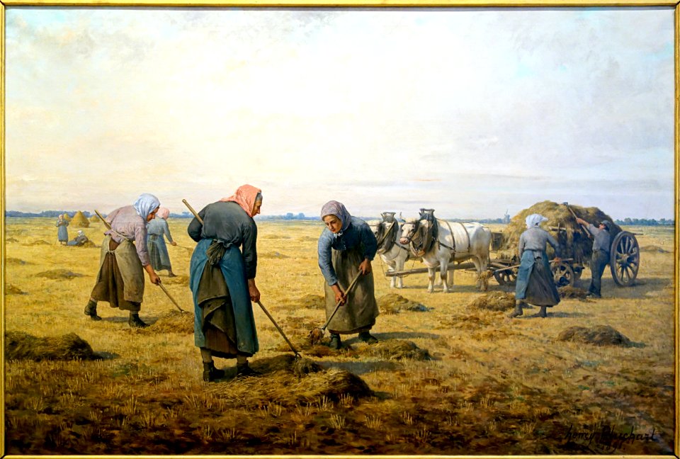 Cambrai musee pluchart travaux des champs