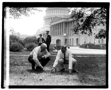 Cameron & Bursun (Horseshoes) LOC npcc.04800