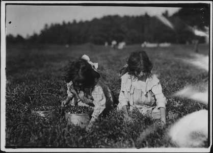 Camille Carmo, Justine, 7 and 9 years old. The older one picks about 4 pails a day. Youngest was picking also.... - NARA - 523474