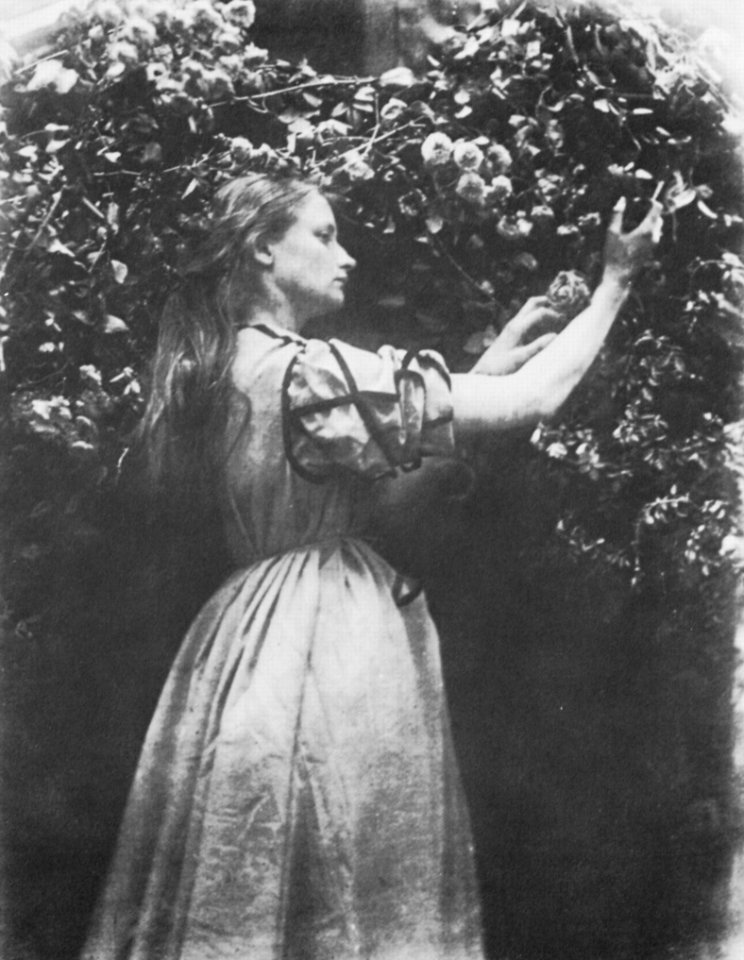Cameron, Julia Margaret - »Die Tochter des Gärtners« (Zeno Fotografie)