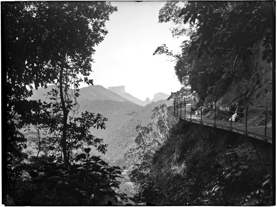 Caminho suspenso na Floresta da Tijuca, ao fundo, a Pedra da Gávea