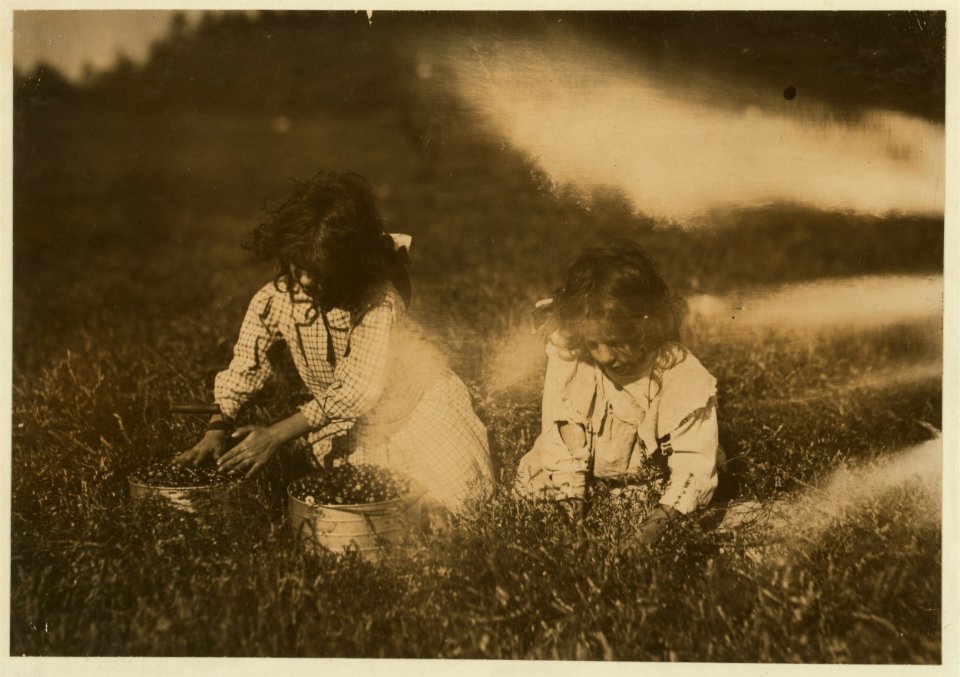 Camille Carmo, Justine Carmo, seven and nine years old. The older one picks about 4 pails a day. Youngest was picking also. LOC nclc.00143
