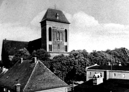 Cammin in Pommern - Dom-005