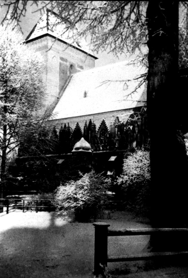 Cammin in Pommern - Dom-013