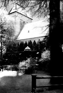 Cammin in Pommern - Dom-013