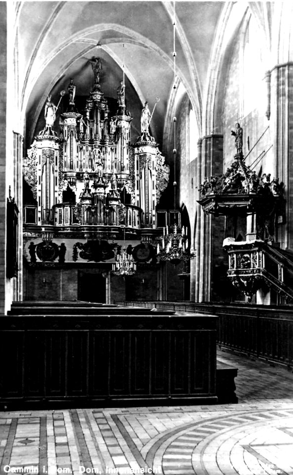 Cammin in Pommern - Dom-004