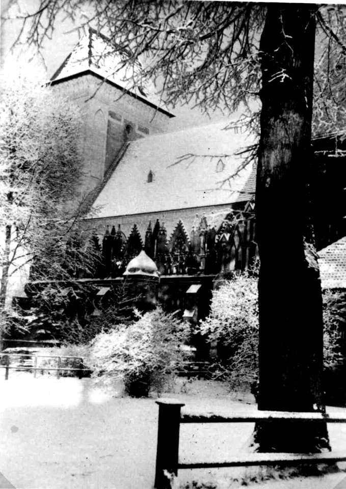 Cammin in Pommern - Dom-011