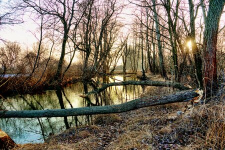 River landscape waters photo