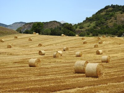 Hay bales hay field hay
