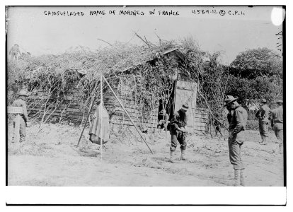 Camouflaged home of marines in France LCCN2014706985