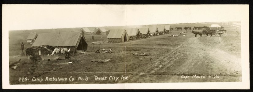 Camp Ambulance Co. No. 3, Texas City, Tex. LCCN2013646973