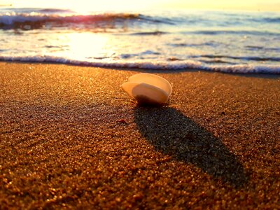 Sea beach flotsam