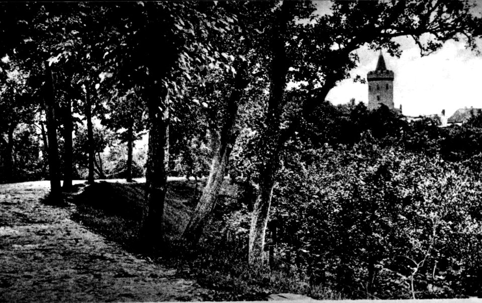 Cammin in Pommern-147