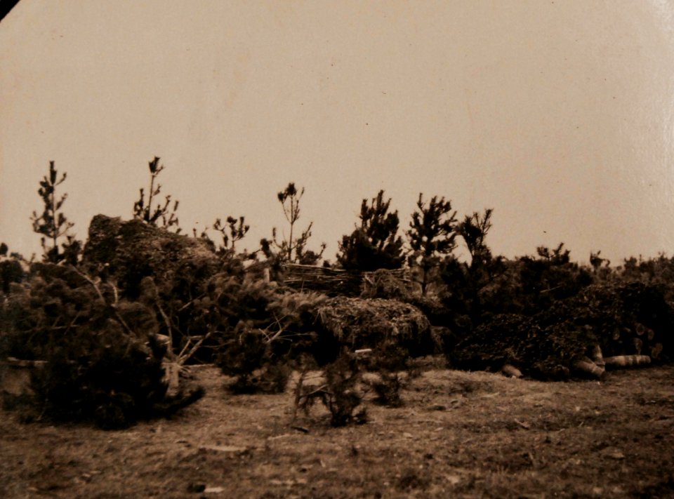 Camouflage 228mm gun, French Battery, WWI (28785626455)
