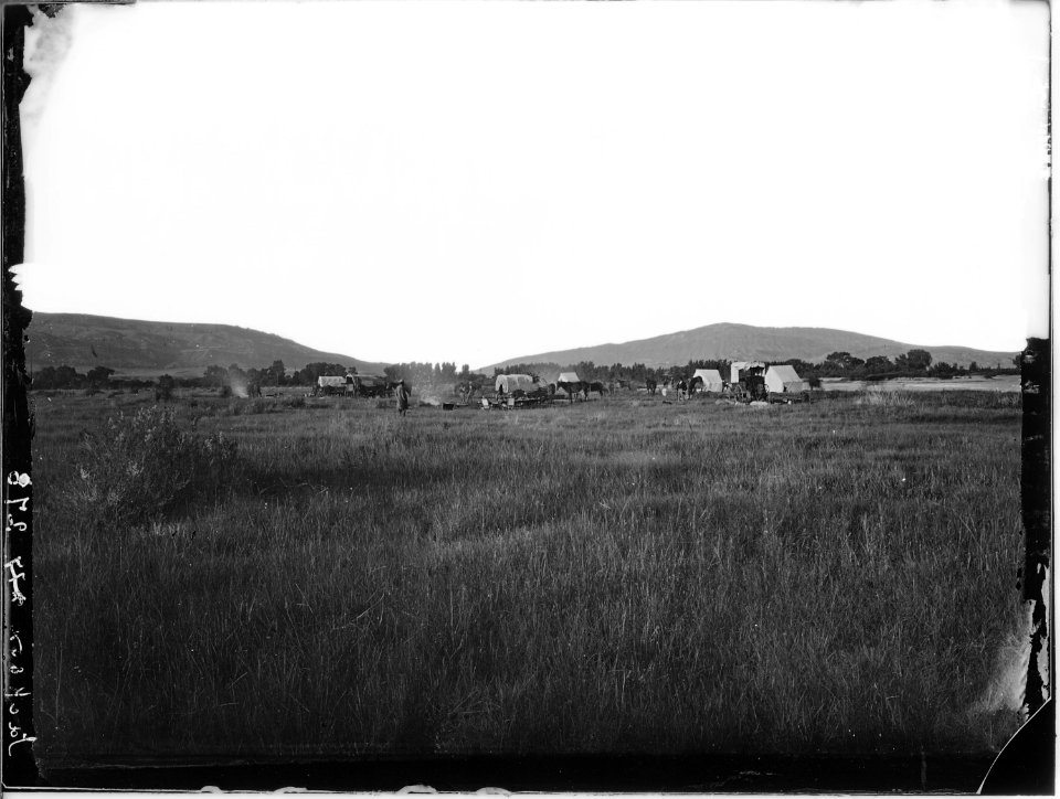 Camp at Red Buttes, northwest end of Casper Mountain. Natrona County, Wyoming. - NARA - 516887