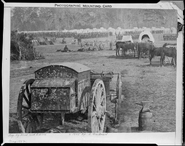 Camp at Cumberland Landing, Va., May 1862. Photo by Alexander Gardner. - NARA - 530403