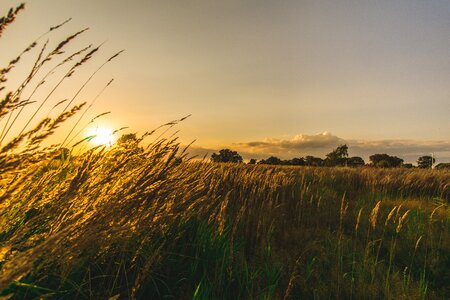 Sky rural sun photo