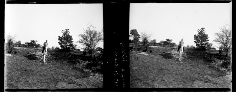 Camp de Châlons. M. Fontaine - Fonds Berthelé - 49Fi1013