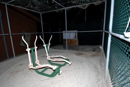 Camp echo exercise yard