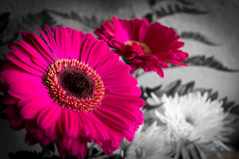 Nice color selective color